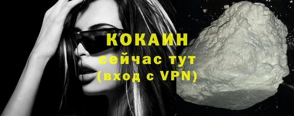 стафф Новозыбков