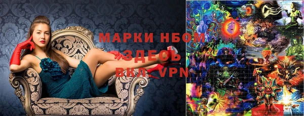 стафф Новозыбков