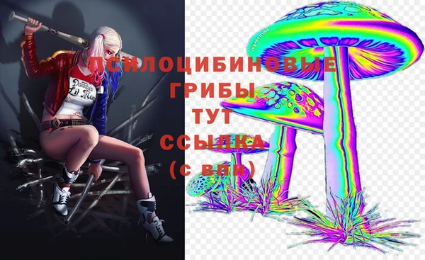 spice Новокубанск