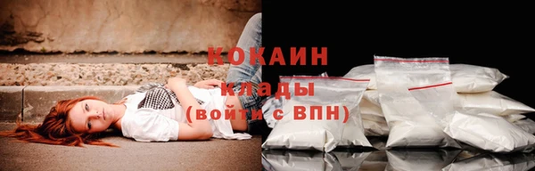 стафф Новозыбков
