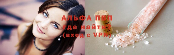 стафф Новозыбков