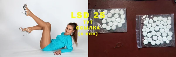 стафф Новозыбков