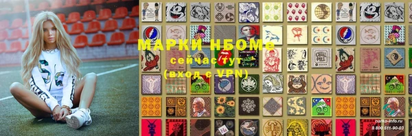 стафф Новозыбков