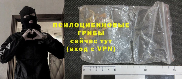 стафф Новозыбков