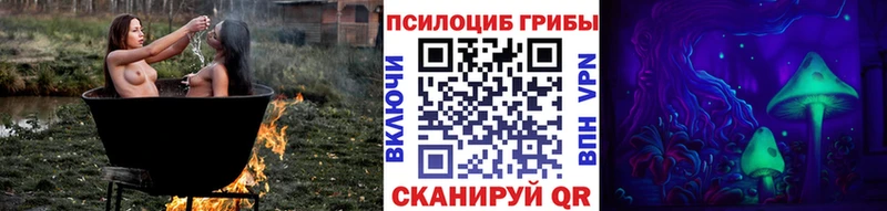 Псилоцибиновые грибы прущие грибы  продажа наркотиков  Куртамыш 